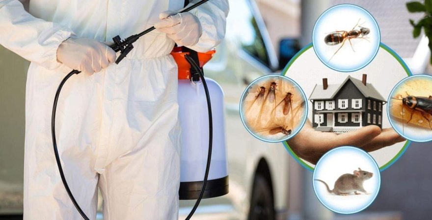 Kadirli Böcek İlaçlama