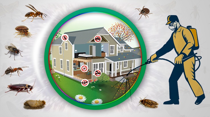 Kadirli Böcek İlaçlama