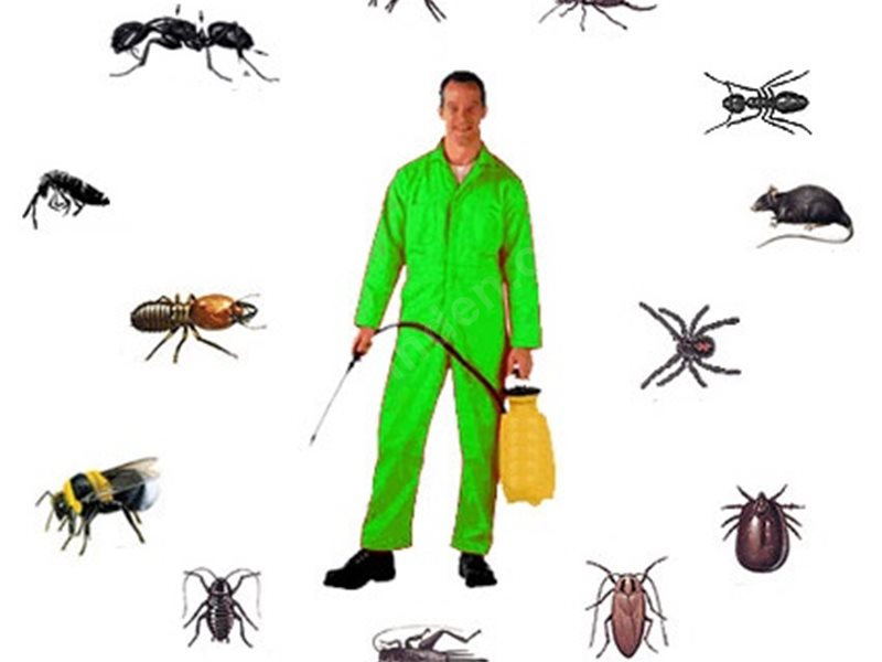 Kadirli Böcek İlaçlama